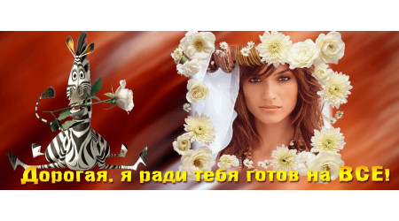 ch 241 +15.00 грн.